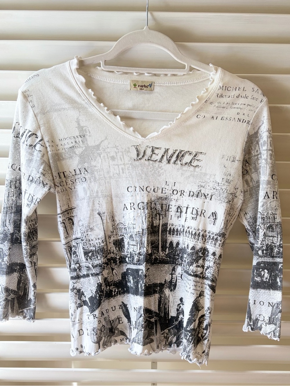 Y2K Cactus Venice Print V-Neck Long Sleeve Top - White/Gray